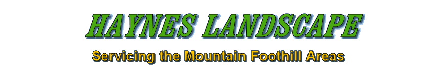 Haynes Landscaping